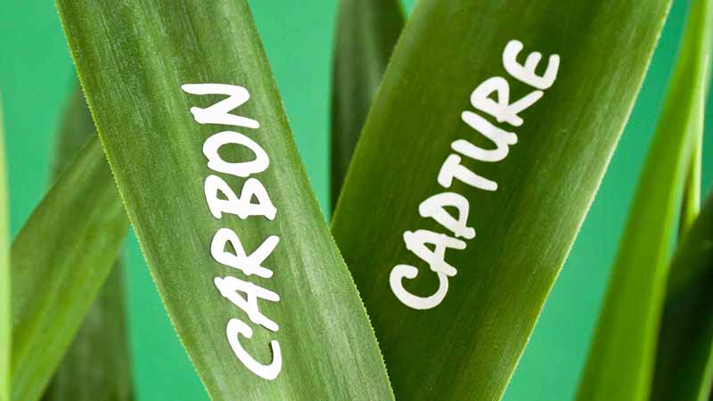 carbon capture companies trading stock