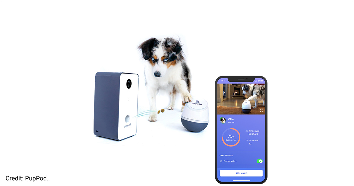 Graphic of PupPod app and dog interacting with the tech.