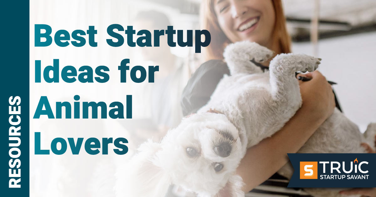 Pet Business Ideas - Startup Ideas for Animal Lovers | TRUiC